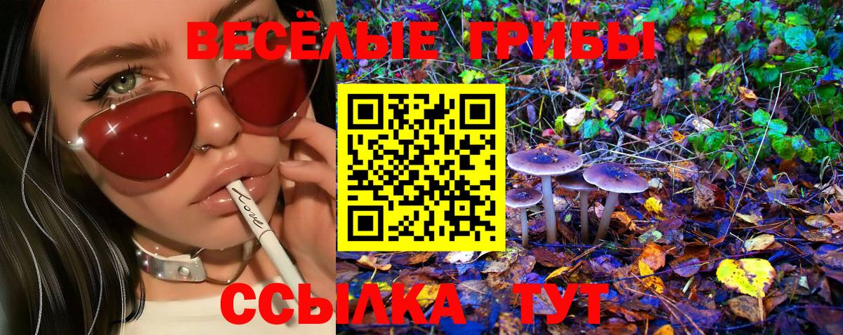 Кстово  Галлюциногенные грибы Psilocybine cubensis  Вход с VPN 