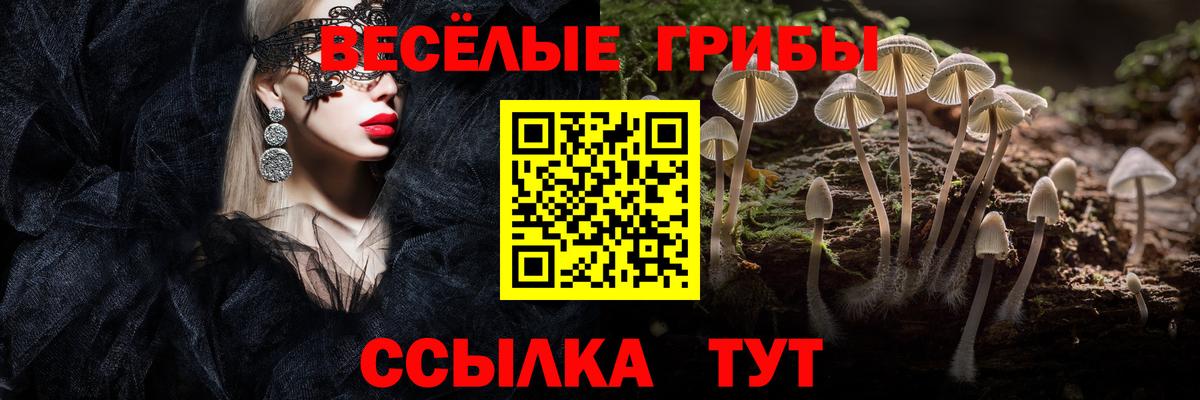 Псилоцибиновые грибы мухоморы Кстово