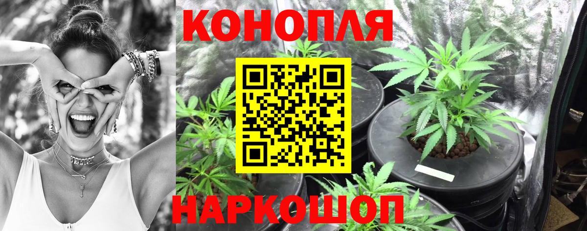 Бошки марихуана THC 21% Кстово